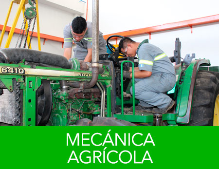 imagen de especialidad