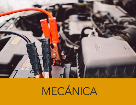 imagen de especialidad